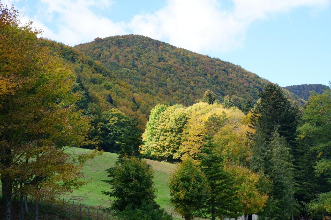 Hotel Monastero Sant'alberico Relais 4*